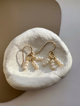 Load image into Gallery viewer, Kiri 14K Gold Mini Beaded Pearl Earring