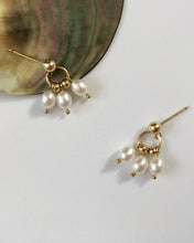 Load image into Gallery viewer, Renee Freshwater Pearl Dangle Earrings 14k gold Ball Dainty Earrings