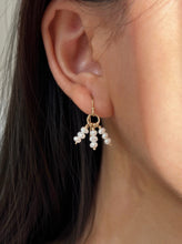 Load image into Gallery viewer, Kiri 14K Gold Mini Beaded Pearl Earring