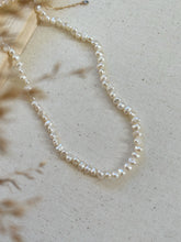 Load image into Gallery viewer, Adela Beaded Pearl 14K Gold Choker Necklace
