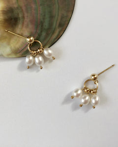 Renee Freshwater Pearl Dangle Earrings 14k gold Ball Dainty Earrings